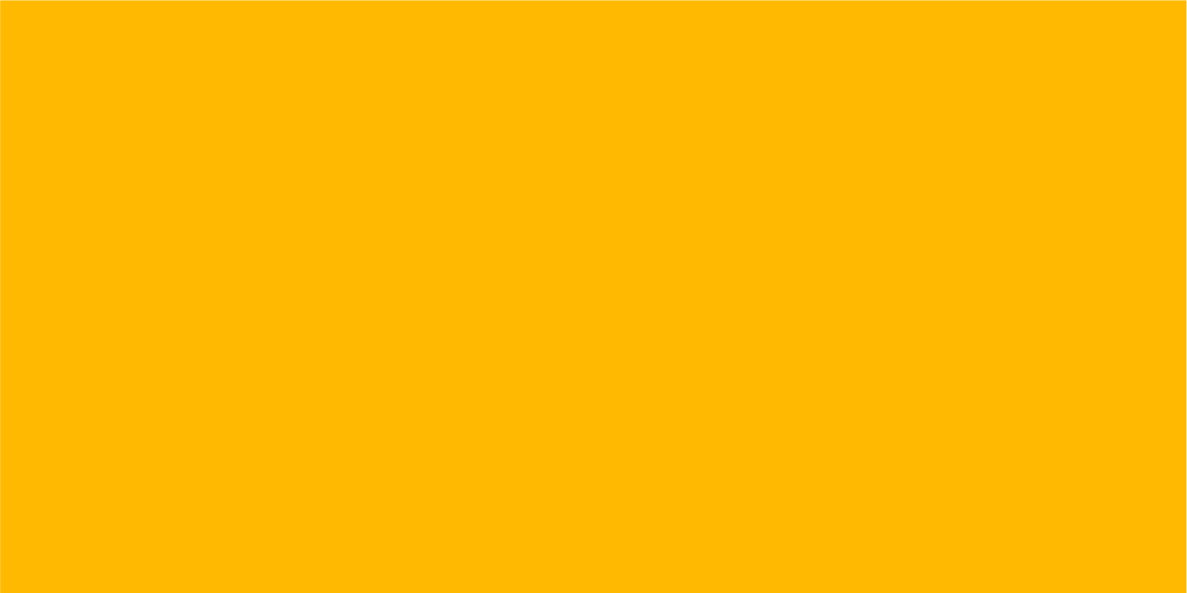 Brand Guide Gold Brand Guide Gold