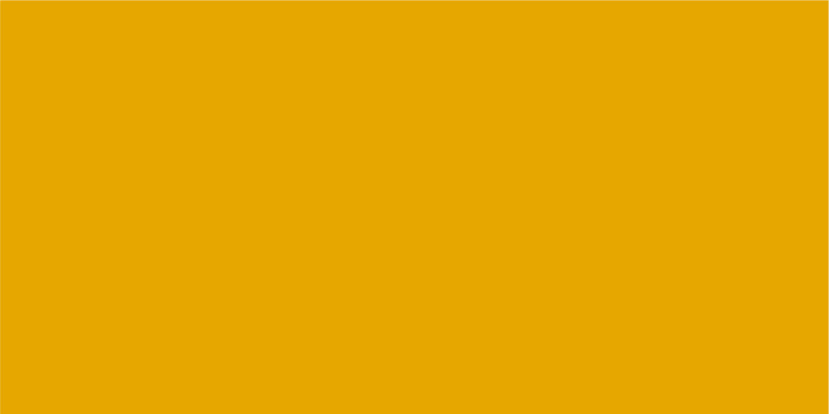 Brand Guide Mustard Brand Guide Mustard