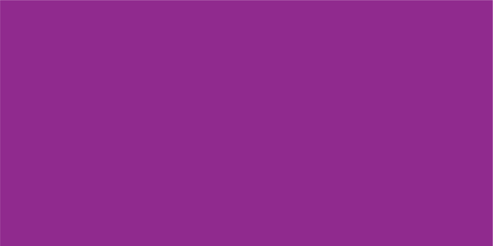 Brand Guide Surfer Purple Brand Guide Surfer Purple