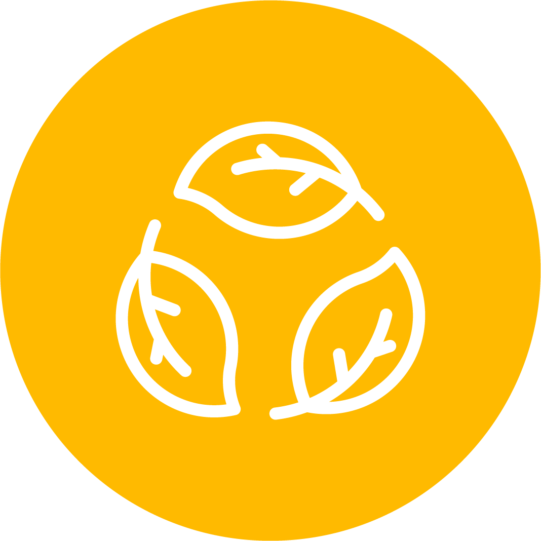 Environmental Environmental